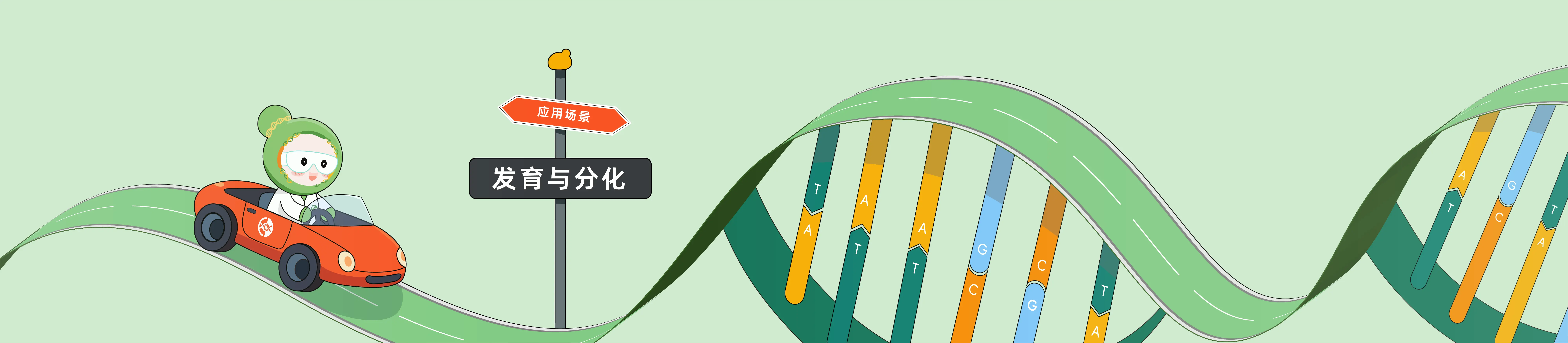 CRISPR 在发育与分化中的应用