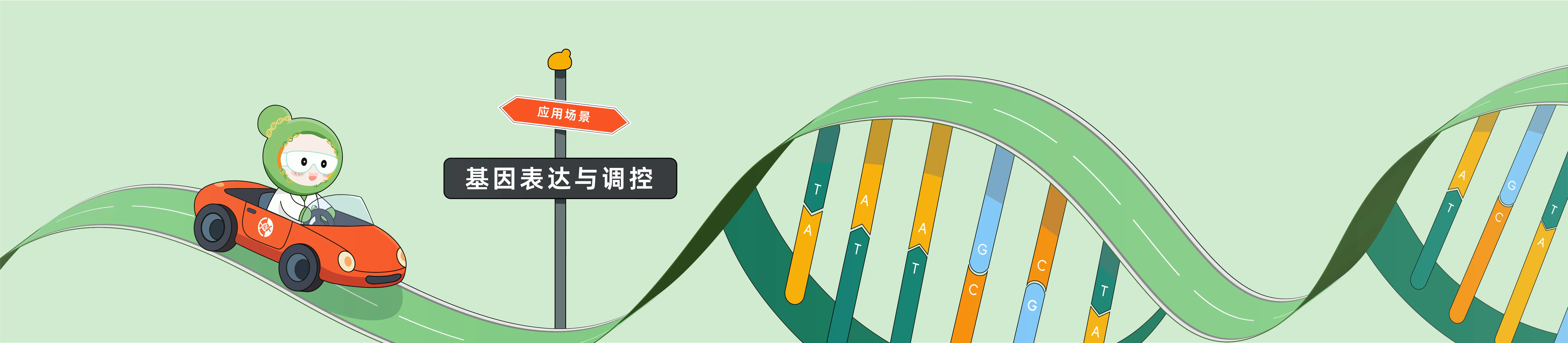 CRISPR 在基因表达与调控中的应用