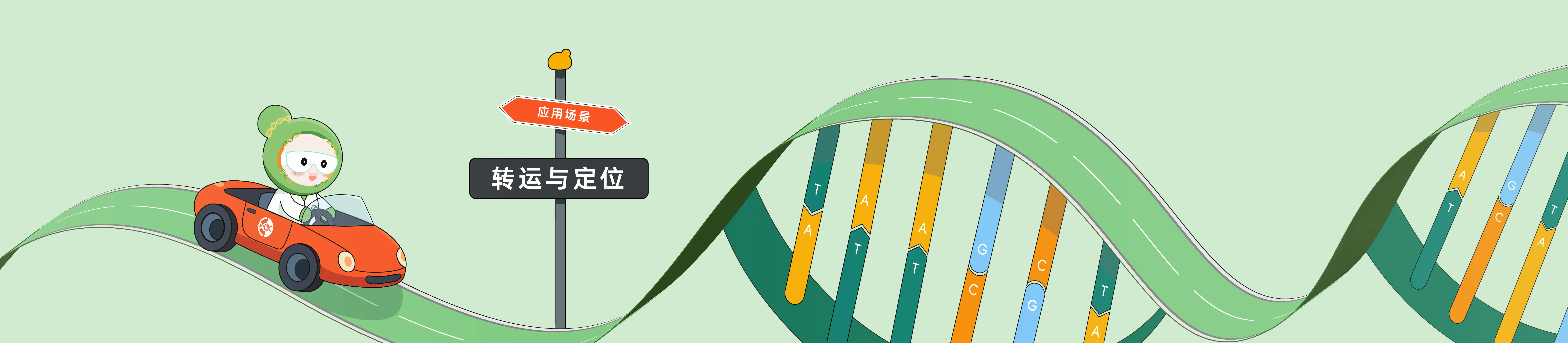 CRISPR 在转运与定位中的应用