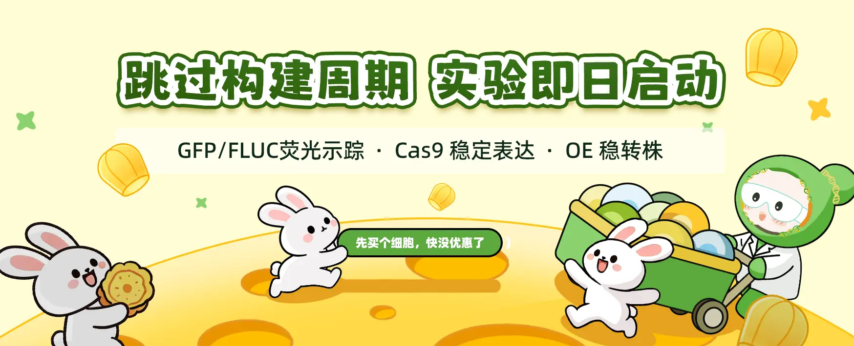 双节科研加速计划｜现货工具细胞模型限时优惠