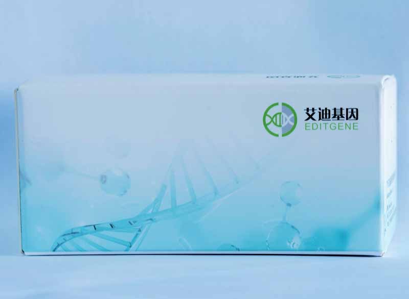 DNA恒温扩增试剂盒（胶体金试纸条型）